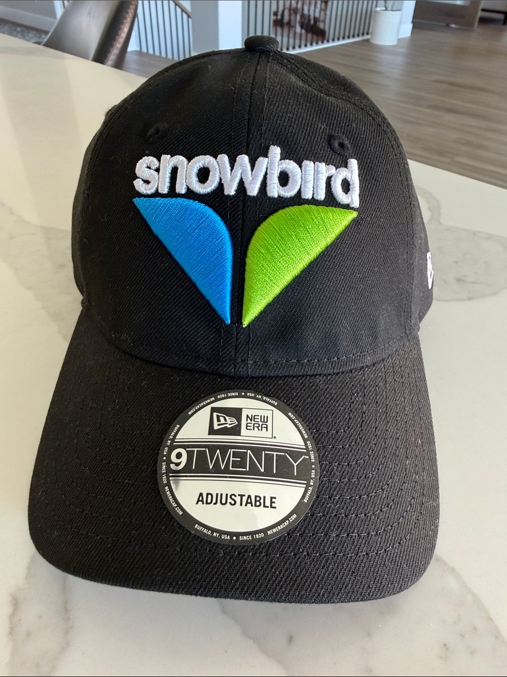 New Era Snowbird Men’s Adjustable Hat - Black with Blue & Green Logo. NWT